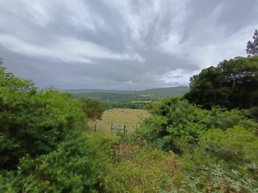 Commercial Property for Sale in Colleen Glen Eastern Cape